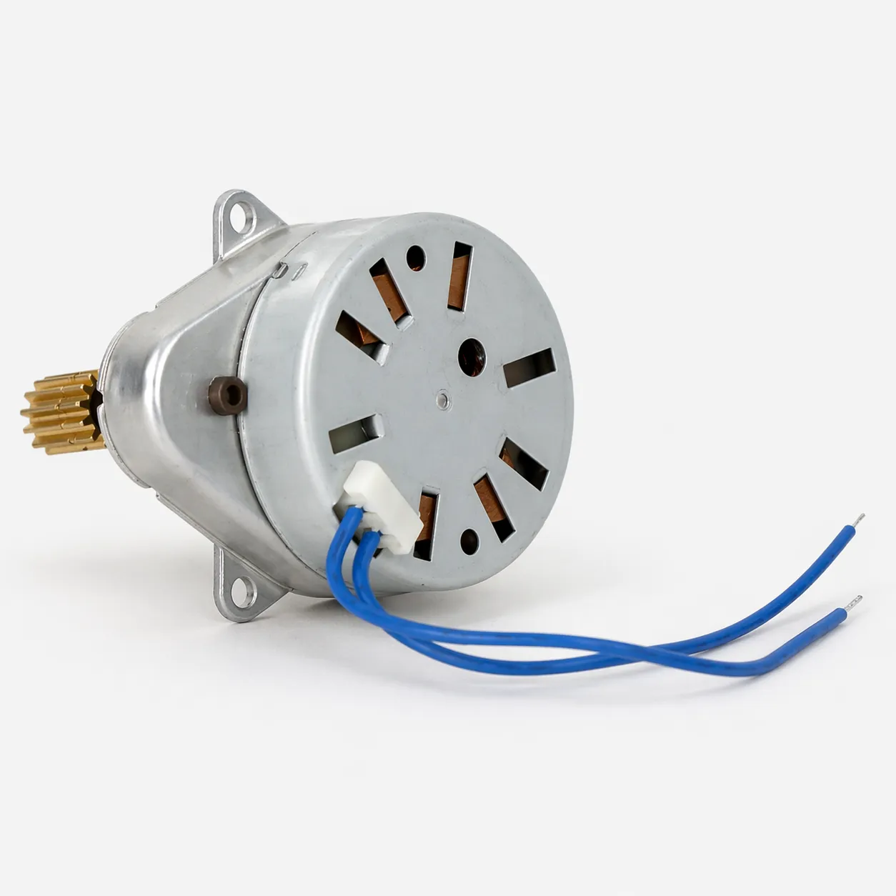 Fleck Timer Motor 24 V 1 RPM